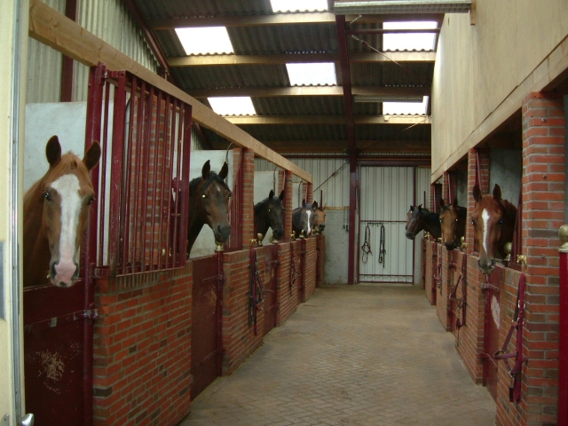 Onze stallen