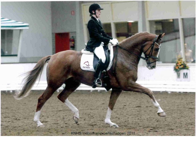 12 maart Nederlandse Kampioenschappen