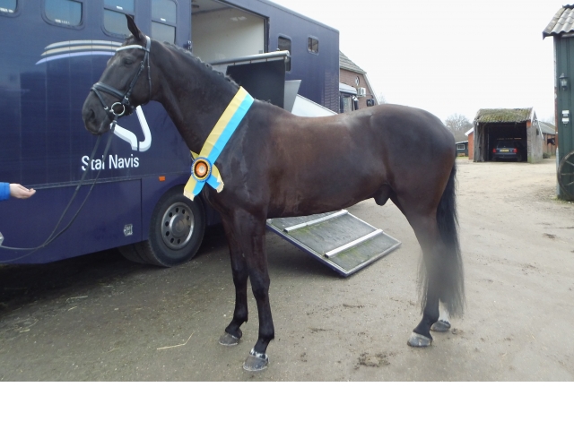 22 februari Gelderse Kampioenschappen Wezep