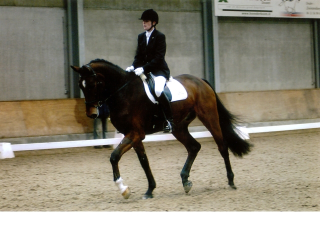 Gelders kampioen 2006